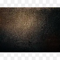 蛇皮纹理背景-空若网 蛇皮纹理背景-空若网