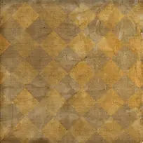 ���Ż��Ʊ���-������