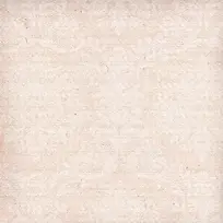 �ŵ仨�Ʊ���-������