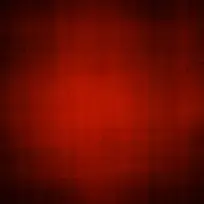 ���Ʊ���-������