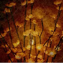 梦幻花朵背景-空若网 梦幻花朵背景-空若网