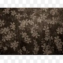 怀旧花朵背景-空若网 怀旧花朵背景-空若网