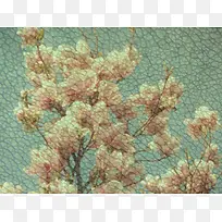 花朵纹理背景-空若网 花朵纹理背景-空若网