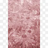 �λ��ʻ���������-������