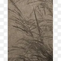 ����ֲ�ﱳ������-������