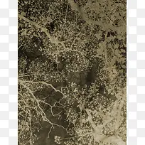 树枝背景底纹-空若网 树枝背景底纹-空若网