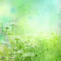 �λ��ʻ�����-������