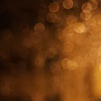 �λû��ɹ�߱���-������