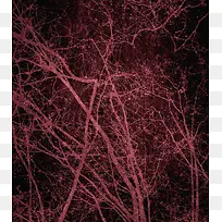 ֲ����֦����-������