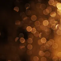 ���ɹ�߱���-������