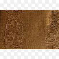 蛇皮纹理背景-空若网 蛇皮纹理背景-空若网