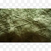 ���ɱ�������-������