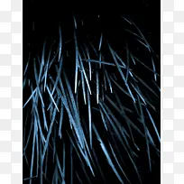 ´´Òâ³éÏó±³¾°-¿ÕÈôÍø ´´Òâ³éÏó±³¾°-¿ÕÈôÍø