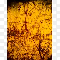 ���ⱳ��-������