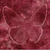 梦幻蝴蝶背景-空若网 梦幻蝴蝶背景-空若网