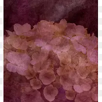 �����ʻ�����-������