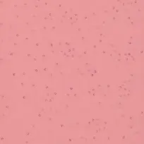 ���ɱ�������-������