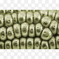 �������ױ���-������