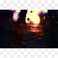 �����ز�-������