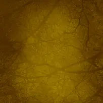 »³¾ÉÁÑÎÆ±³¾°-¿ÕÈôÍø »³¾ÉÁÑÎÆ±³¾°-¿ÕÈôÍø