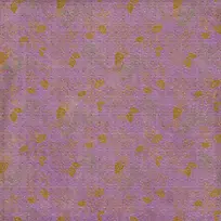 ���ŵ��Ʊ���-������