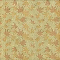 秋天枫叶背景-空若网 秋天枫叶背景-空若网