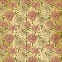 彩色花卉布纹背景-空若网 彩色花卉布纹背景-空若网