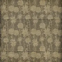 ���Ƶ��Ʊ���-������