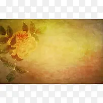 花卉光芒背景-空若网 花卉光芒背景-空若网