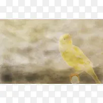 小鸟底纹背景-空若网 小鸟底纹背景-空若网