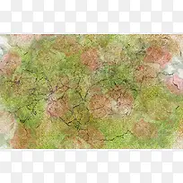 ��ɫ����ͼ��-������