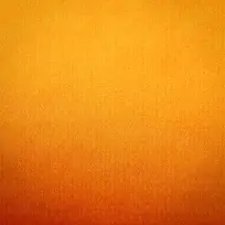 ��ɫ����-������