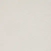 ��ɫ���Ʊ���-������