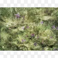 ֲ�ﻨ�ܱ���-������