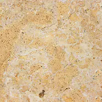 ������ǽ�ڱ���-������