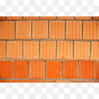 ǽ����������-������