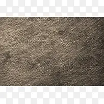 ����ֽ�ű���-������