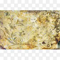 »³¾É»¨»Ü±³¾°-¿ÕÈôÍø »³¾É»¨»Ü±³¾°-¿ÕÈôÍø