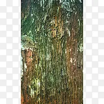 »³¾Éľ°å±³¾°µ×ÎÆ-¿ÕÈôÍø »³¾Éľ°å±³¾°µ×ÎÆ-¿ÕÈôÍø