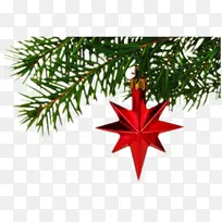 ʥ����֦ʥ����ɫ�����-������