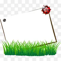 绿草瓢虫信纸-空若网 绿草瓢虫信纸-空若网