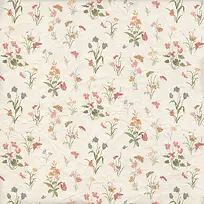 鲜花蝴蝶背景-空若网 鲜花蝴蝶背景-空若网