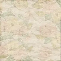 鲜花纸张背景-空若网 鲜花纸张背景-空若网