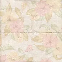 怀旧纸张花纹背景-空若网 怀旧纸张花纹背景-空若网