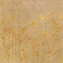 ����ֽ���ʻ�����-������