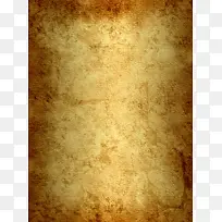 ����ֽ�ű����ز�-������