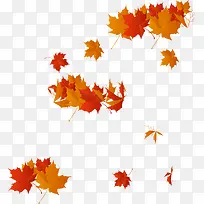 矢量枫叶素材-空若网 矢量枫叶素材-空若网