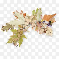 秋天枫叶装饰素材-空若网 秋天枫叶装饰素材-空若网