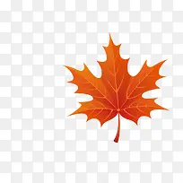 ��Ҷ-������