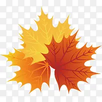 ��Ҷpngʸ���ز�-������